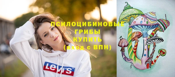 прущая мука Белокуриха