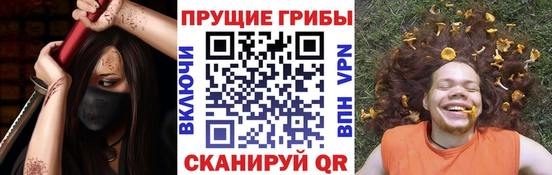 Псилоцибиновые грибы Psilocybe  Шиханы 